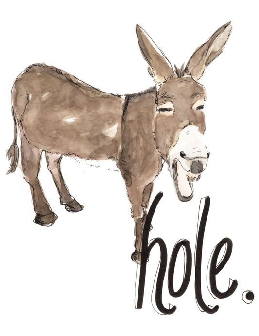Donkey Hole